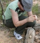 פרופיל יונת