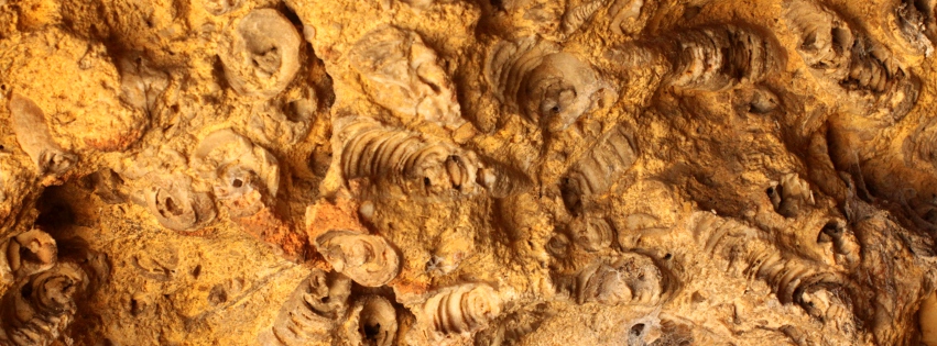 קטעי מעבר (חלק ד'&nbsp;ואחרון)