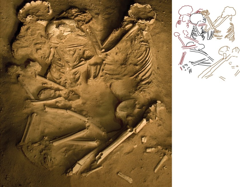 שרידי אישה וילדיה שנקברו בתנוחת חיבוק