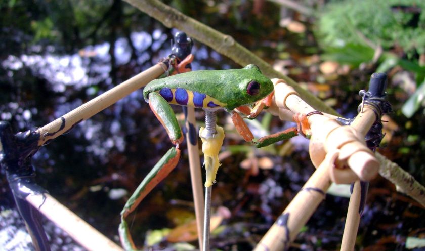 האילנית הרובוטית ששימשה את החוקרים לבחינת תגובתם של זכרי אילנית אדומת עין