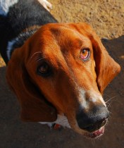 צילום: Let Ideas Compete, CC-BY-NC-ND.