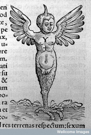 המפלצת של רוונה