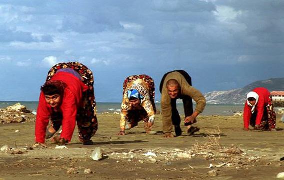 משפחה ההולכת על ארבע