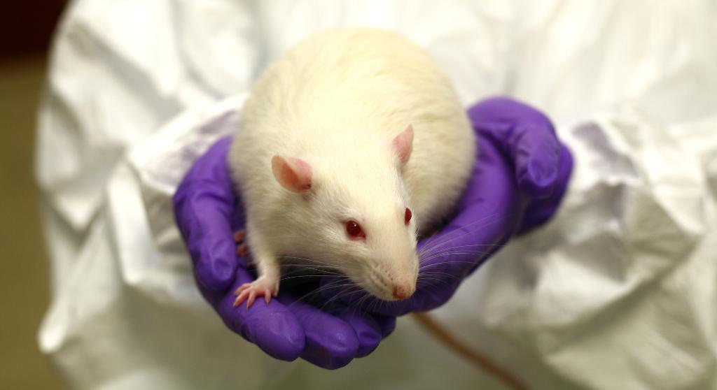 הוצא מהקשרו: שקרים, תשעים ושניים אחוזים&nbsp;וסטטיסטיקה