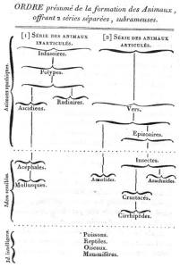 התפתחות בעלי החיים על פי למארק
