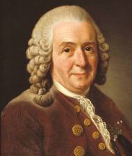 קארולוס ליניאוס