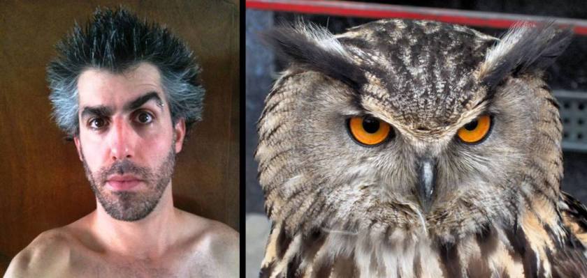 אוח מצוי ואדם