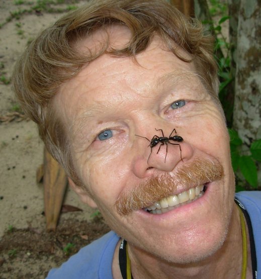 ג'סטין שמידט ונמלה על אפו