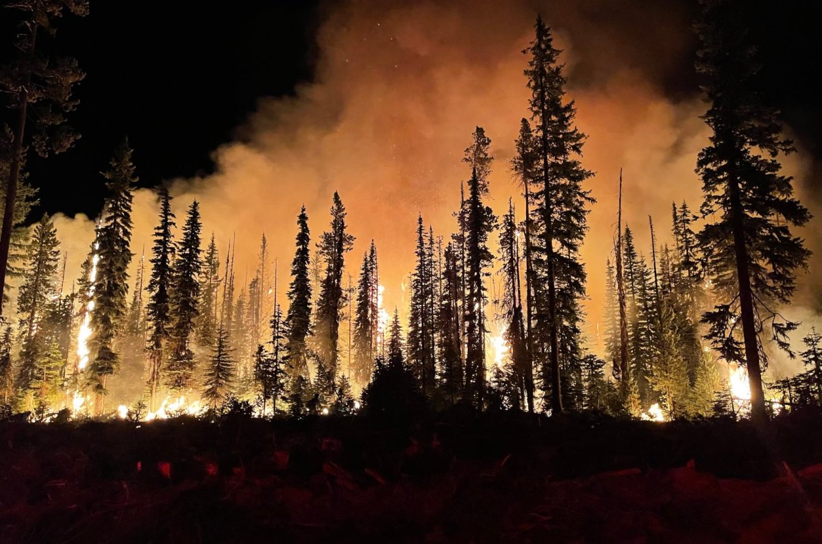 רודפי השריפות